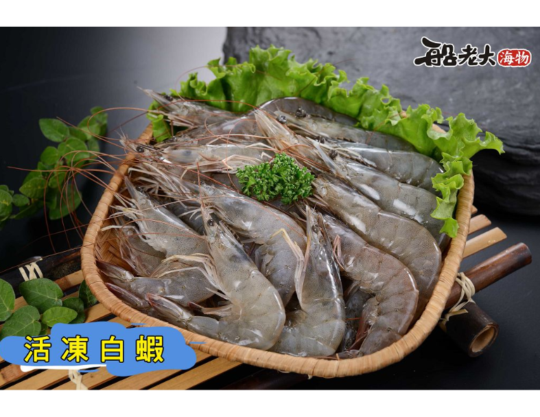 活凍白蝦