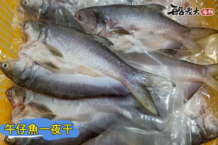 午仔魚一夜干