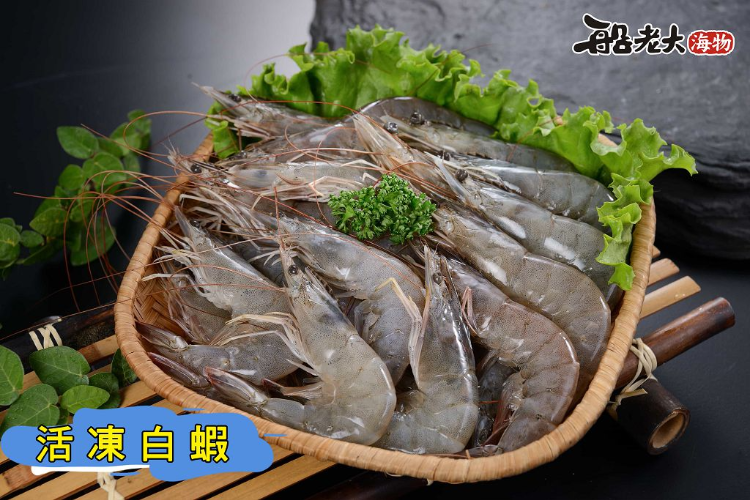 活凍白蝦